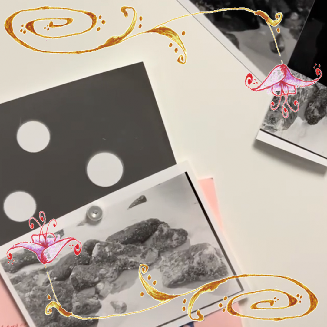 Fotolab workshop: basis filmontwikkeling (€19/€38)
